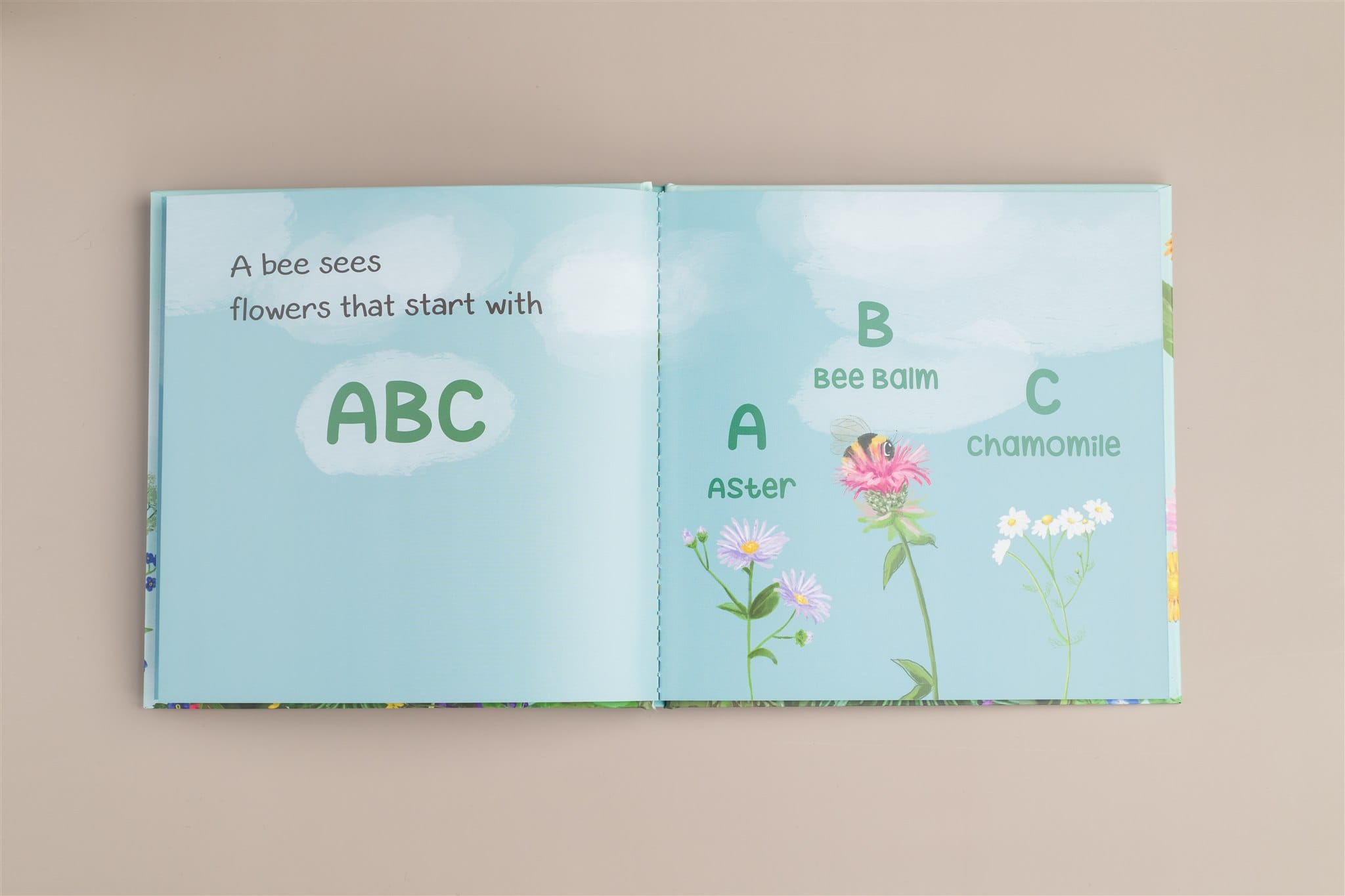 A Bee Sees the Abc's Hardback