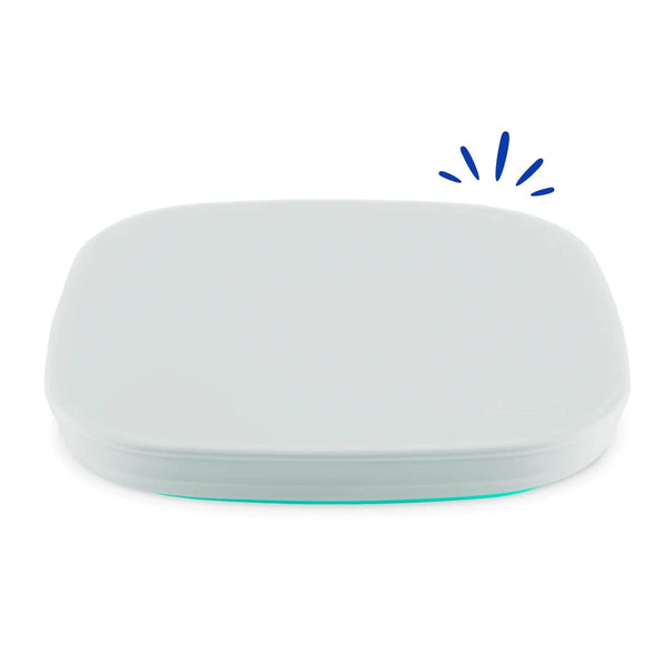 7" Divided/Flat Plate Silicone Lid RePlay Lil Tulips
