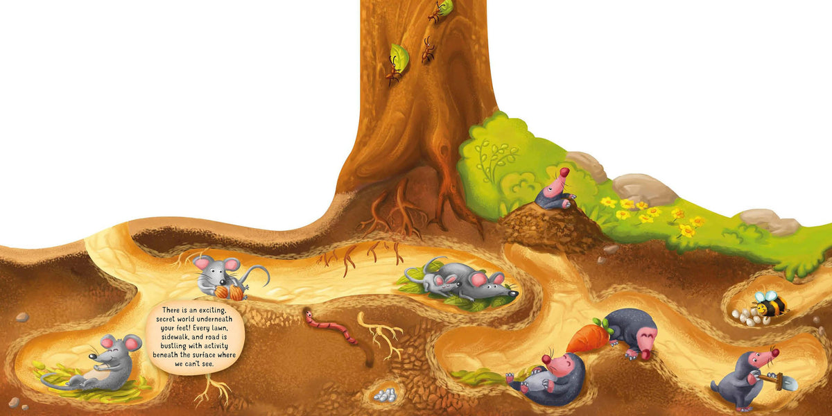 Discovering the Secret World of Nature Underground inside pages - Fox Chapel Publishing