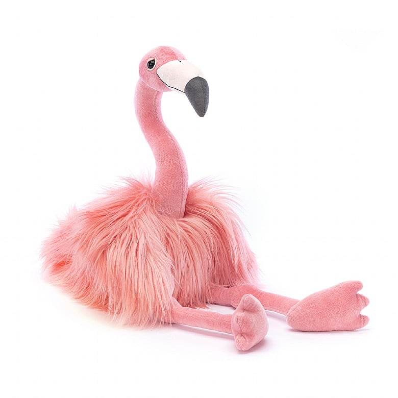 If I Were A Flamingo Book And Rosario Flamingo