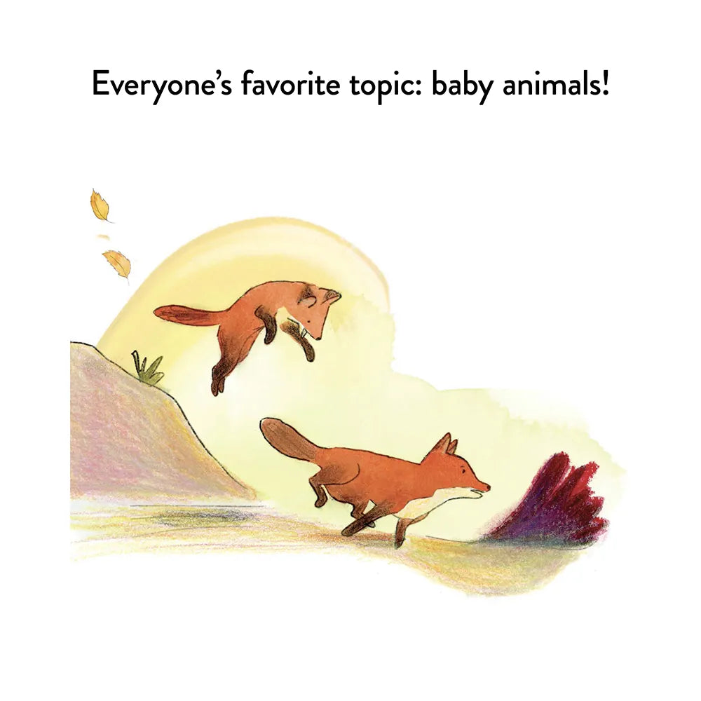 A Kit Story Board Book Chronicle Books Lil Tulips