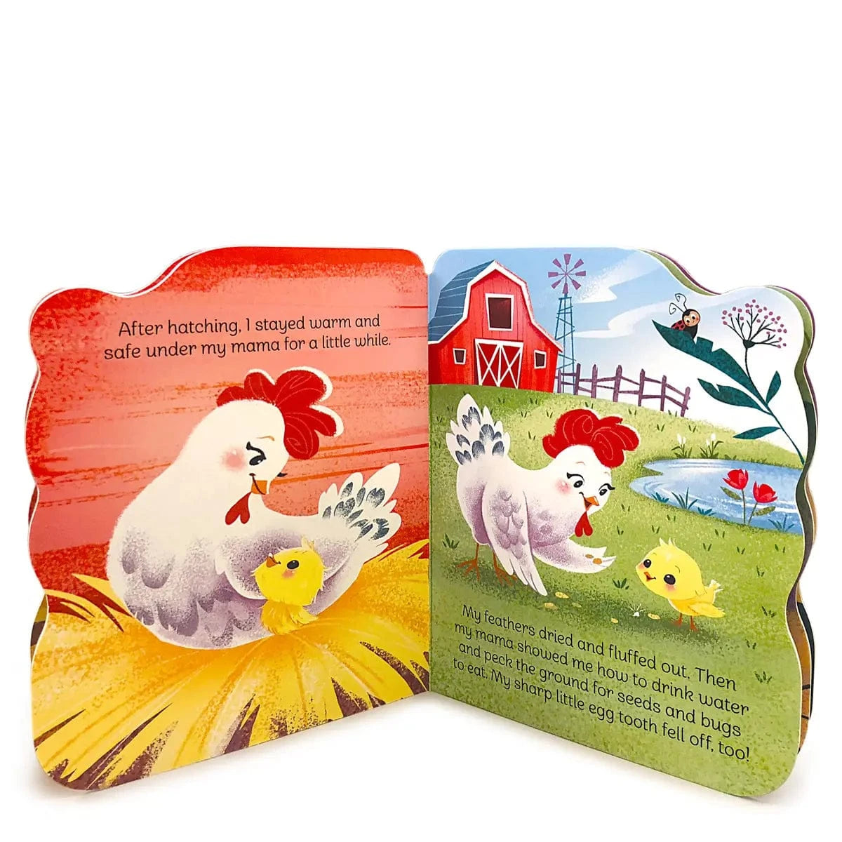 A Little Chick Shaped Board Book Cottage Door Press Books Lil Tulips