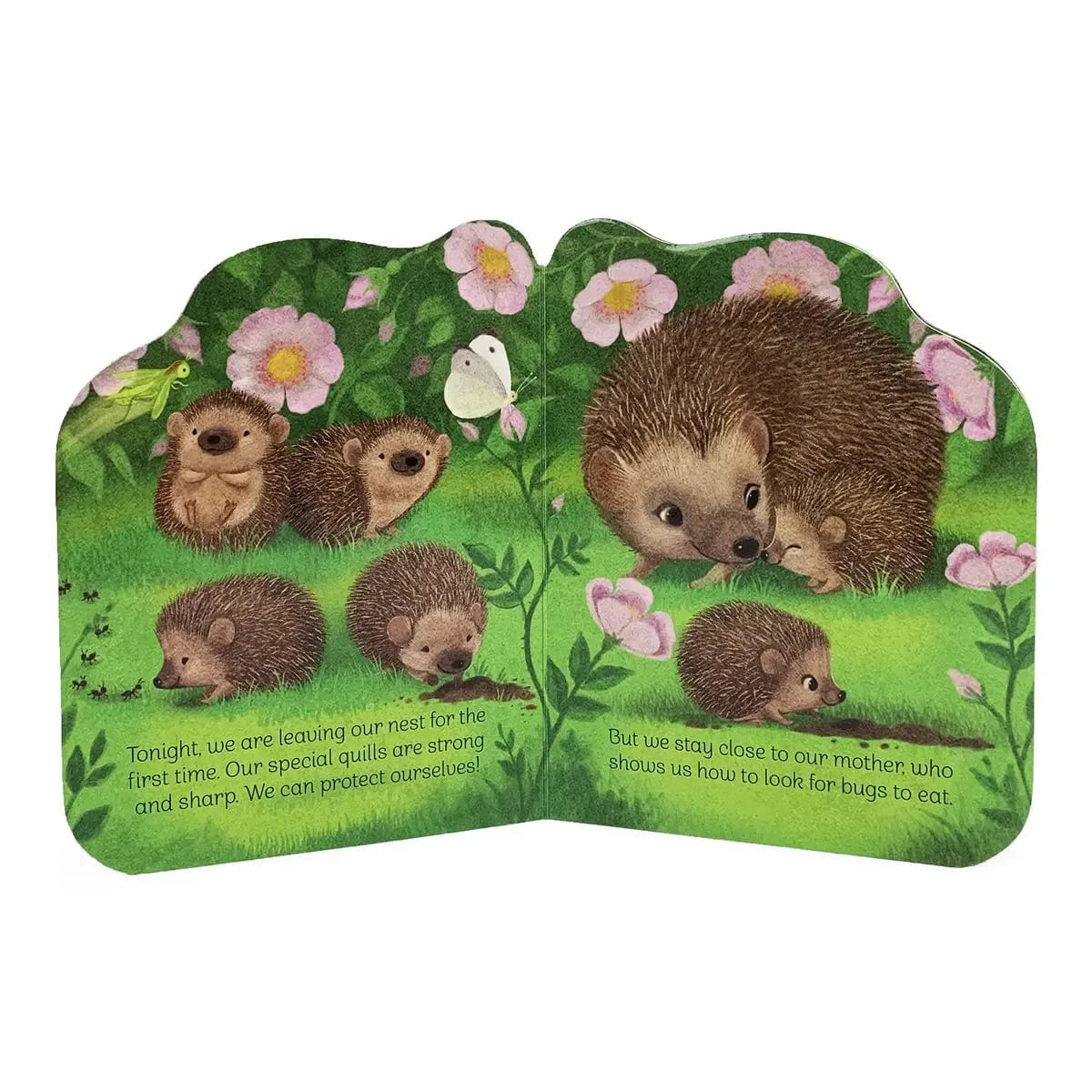 A Little Hedgehog Shaped Board Book Cottage Door Press Books Lil Tulips