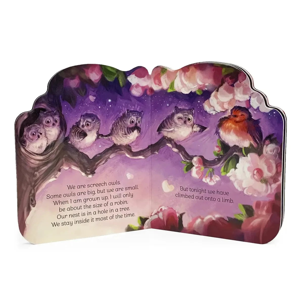 A Little Owl Shaped Board Book Cottage Door Press Books Lil Tulips