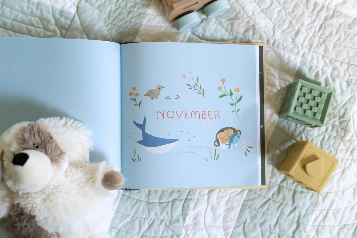A Year of Bible Stories and Prayers Barbour Publishing Lil Tulips