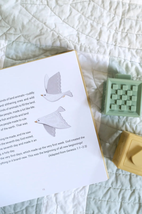 A Year of Bible Stories and Prayers Barbour Publishing Lil Tulips