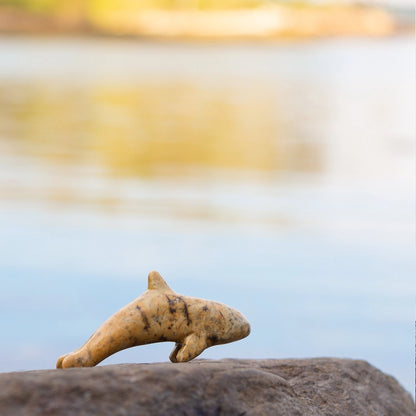 Orca Soapstone Carving Kit