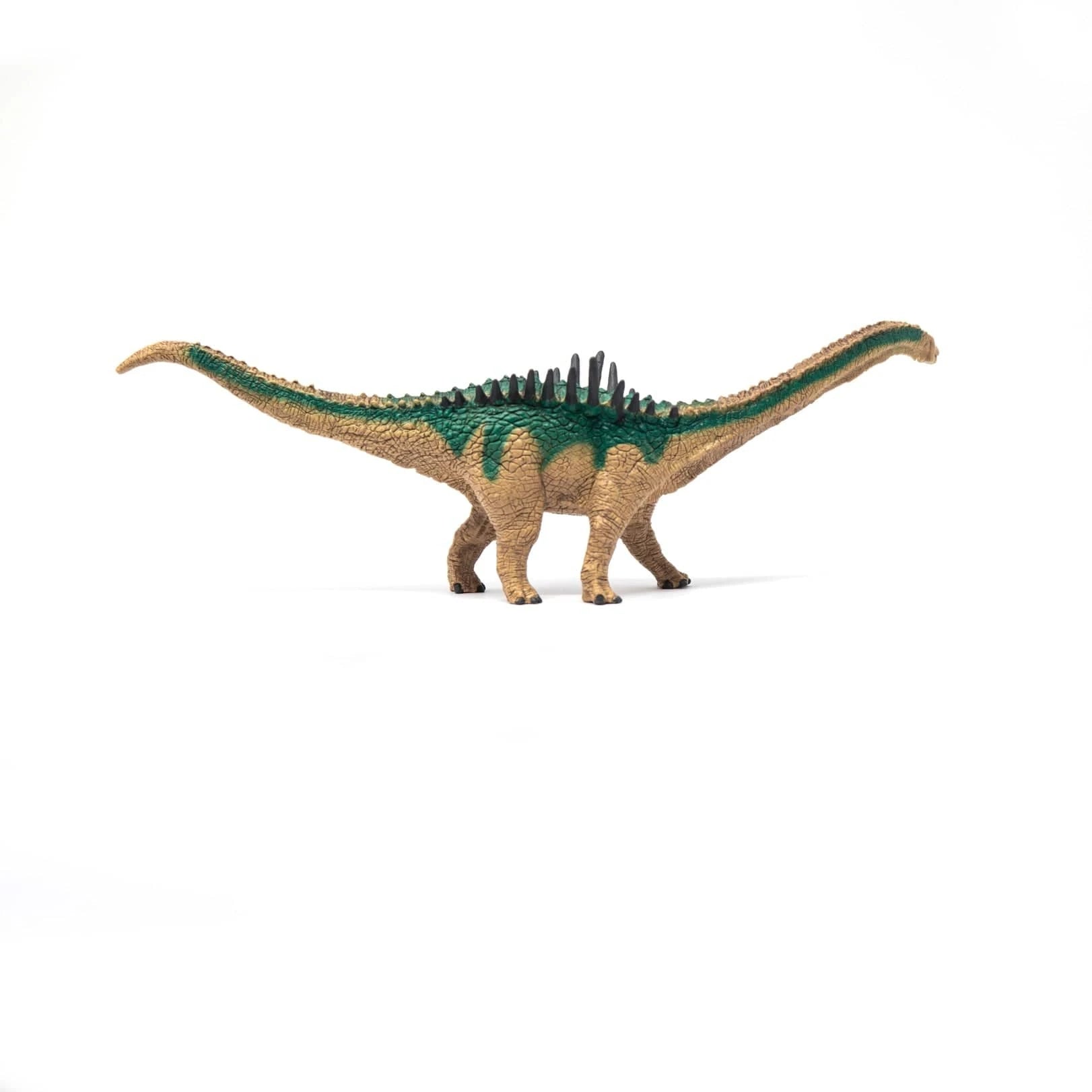 Agustinia Realistic Dinosaur Toy Schleich Lil Tulips