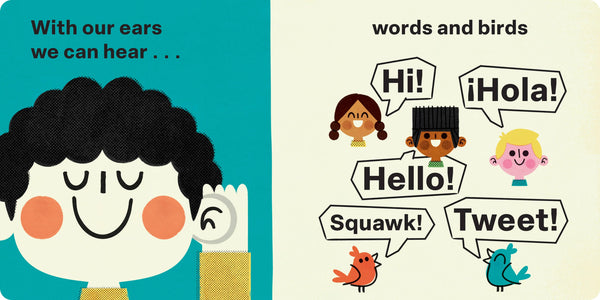 All About Us: My Five Senses Hachette Lil Tulips