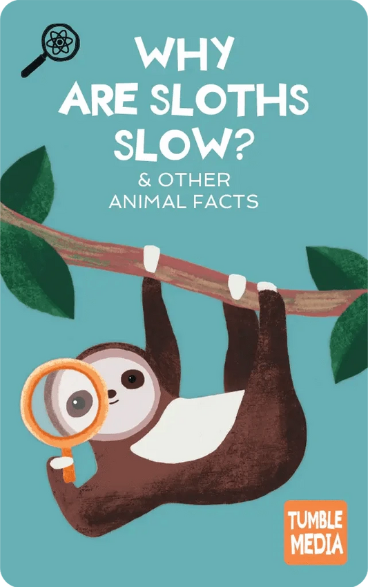Animal Facts, Critter Curiosities & Gross Science Pack - Audiobook Cards Yoto Lil Tulips