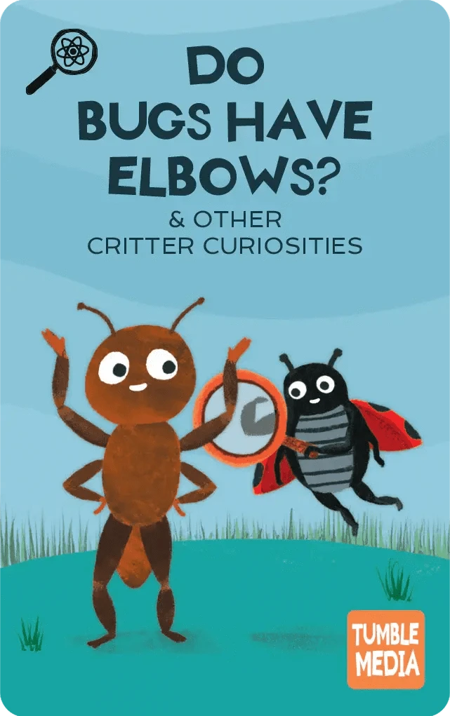 Animal Facts, Critter Curiosities & Gross Science Pack - Audiobook Cards Yoto Lil Tulips