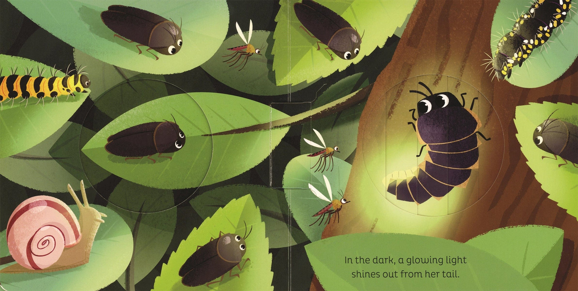 Animal Magic: in the Night EDC Publishing Lil Tulips