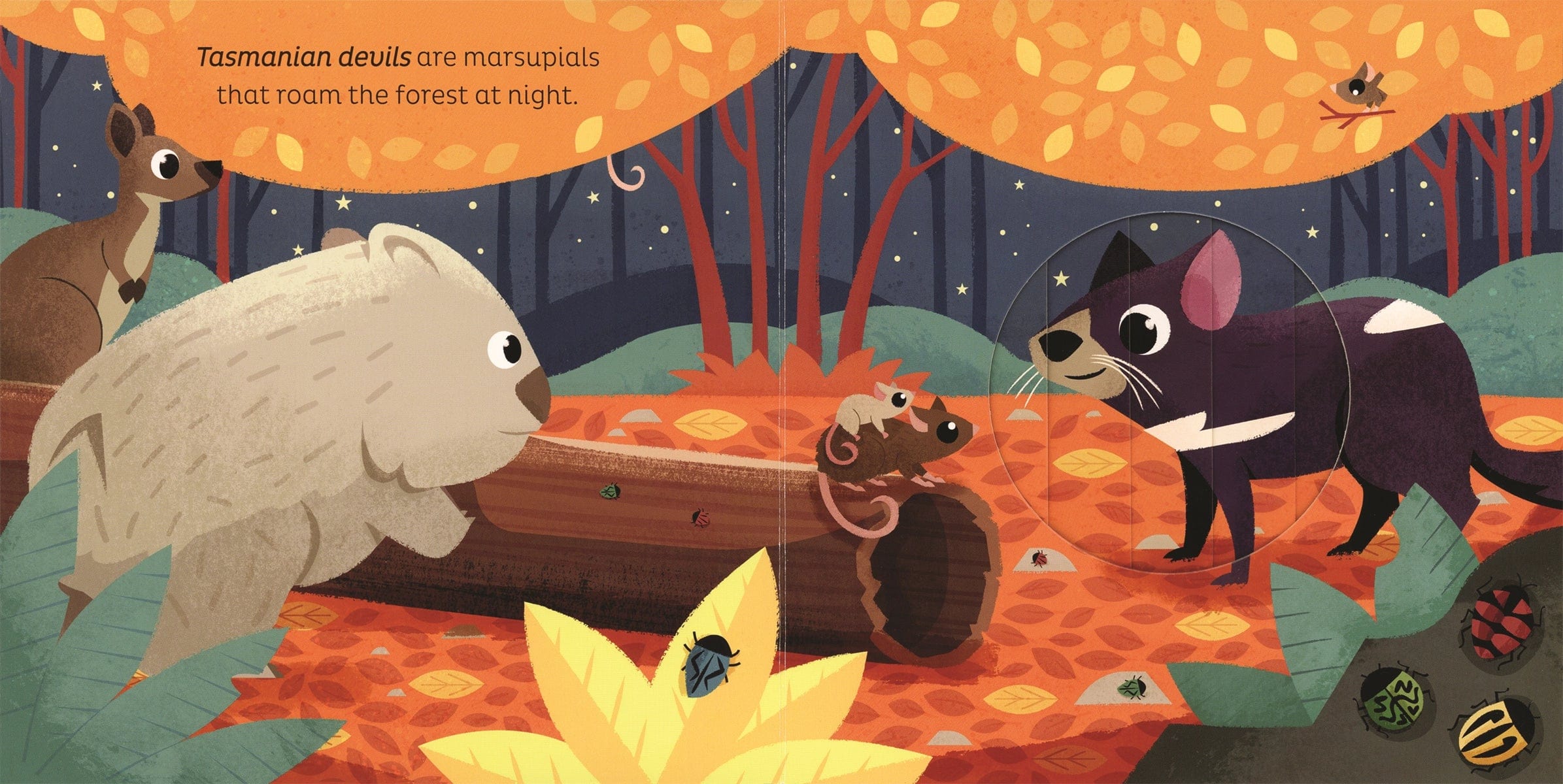 Animal Magic: in the Night EDC Publishing Lil Tulips