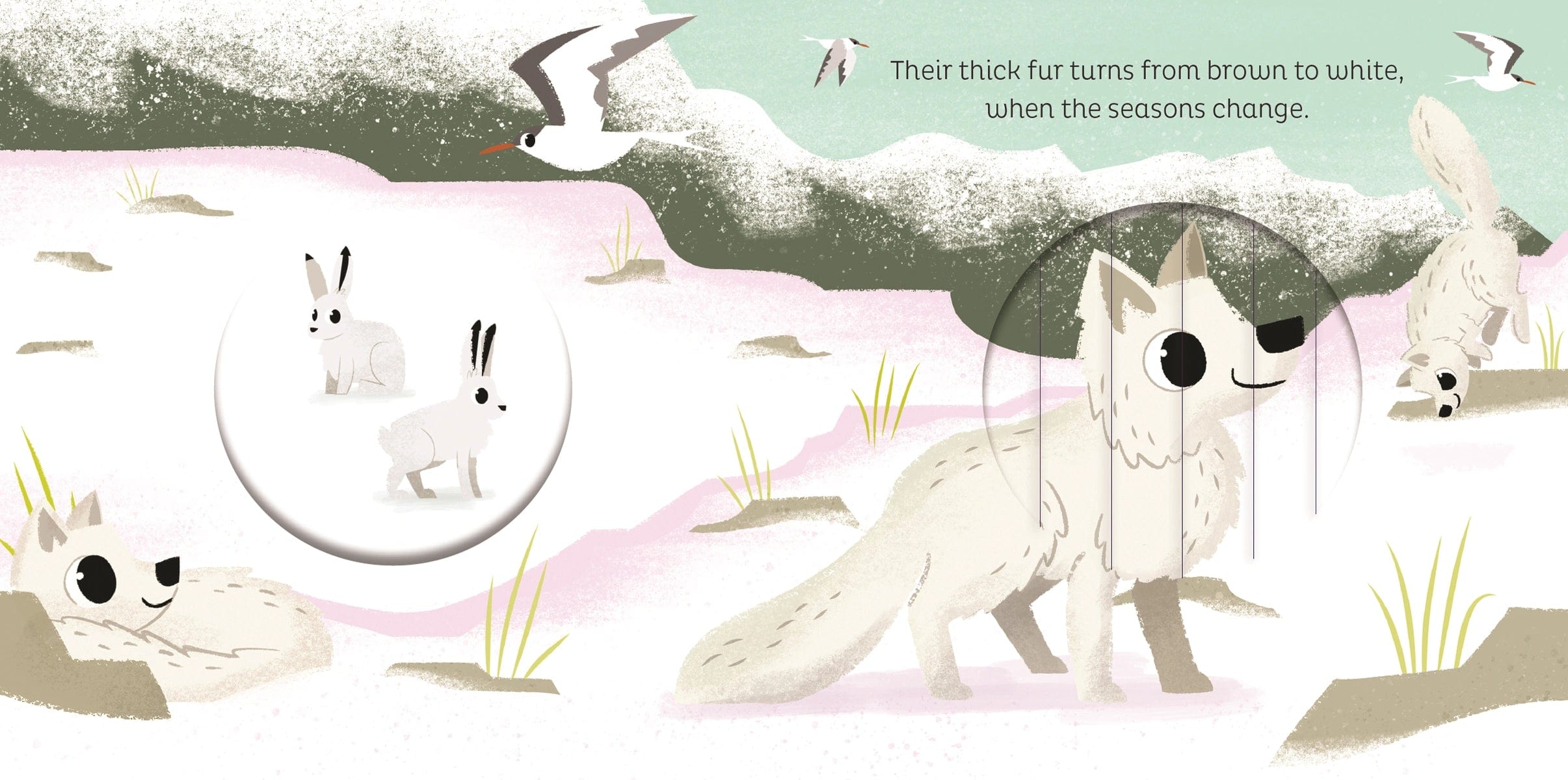 Animal Magic: in the Snow EDC Publishing Lil Tulips