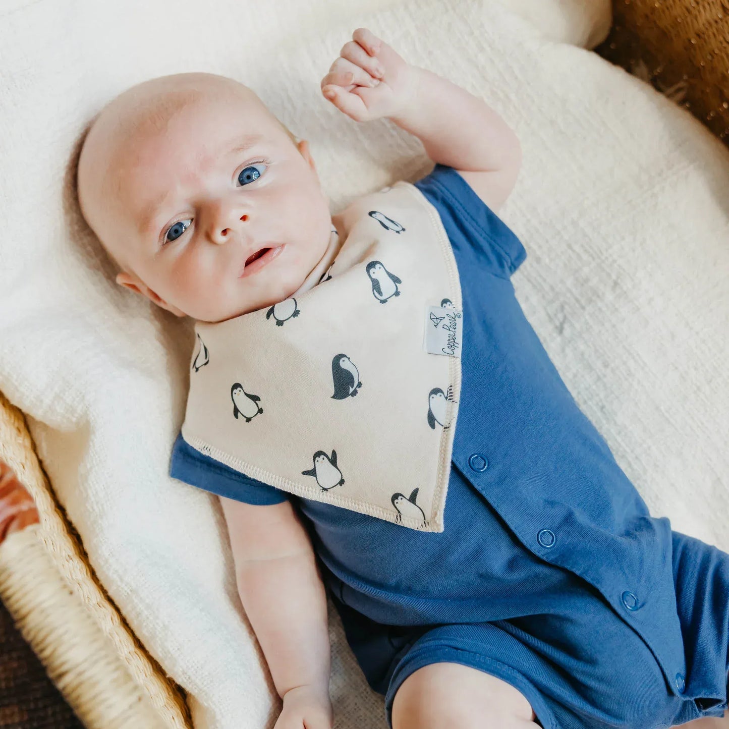 Arctic Wonder Banana Bibs Copper Pearl Lil Tulips