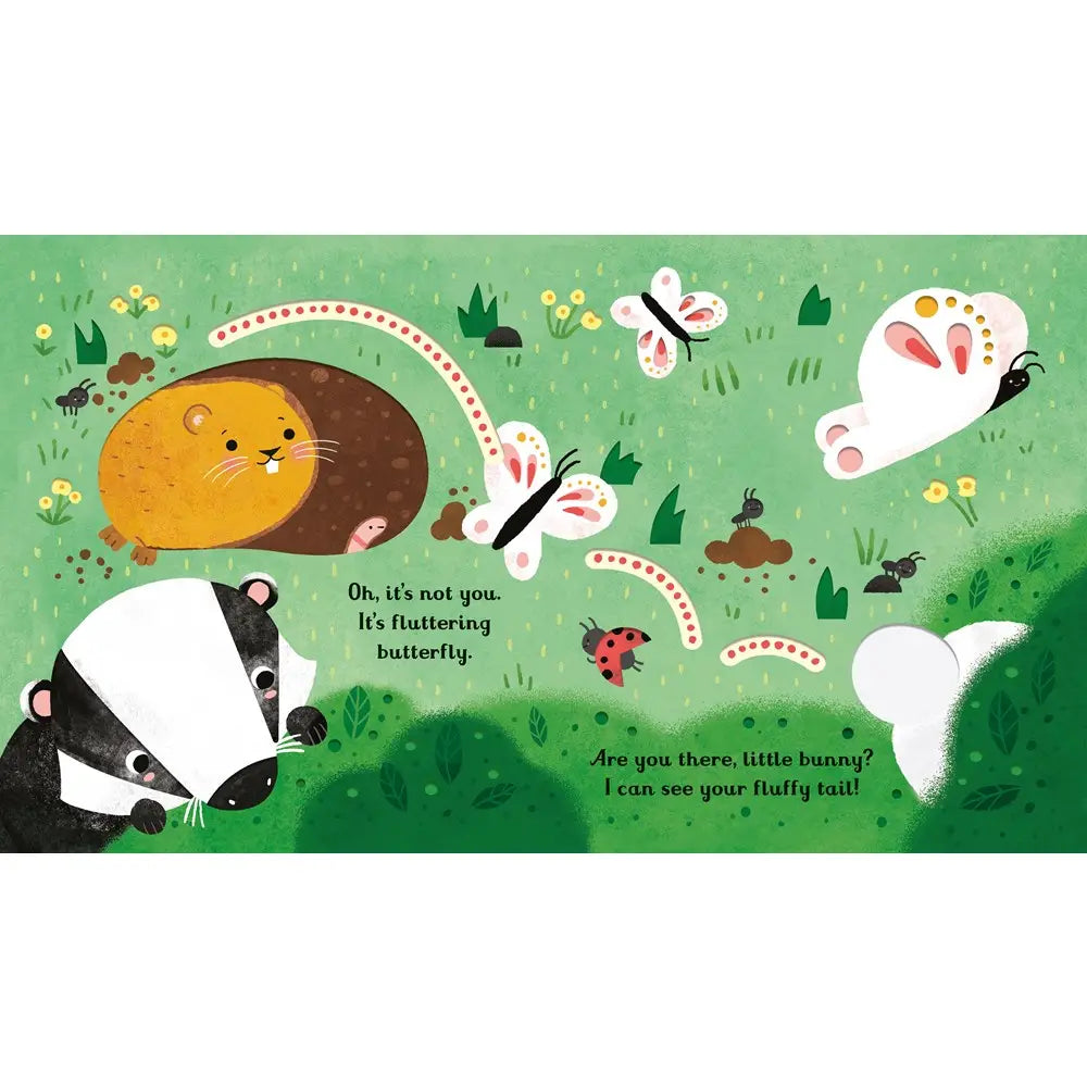 Are You There Little Bunny? Board Book Harper Collins Childrens Lil Tulips