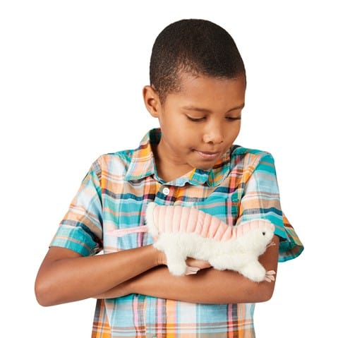 Armadillo, Pink Fairy Hand Puppet Folkmanis Puppets Folkmanis Puppets Lil Tulips