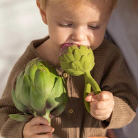 Artichoke Rattle Toy Oli & Carol Lil Tulips