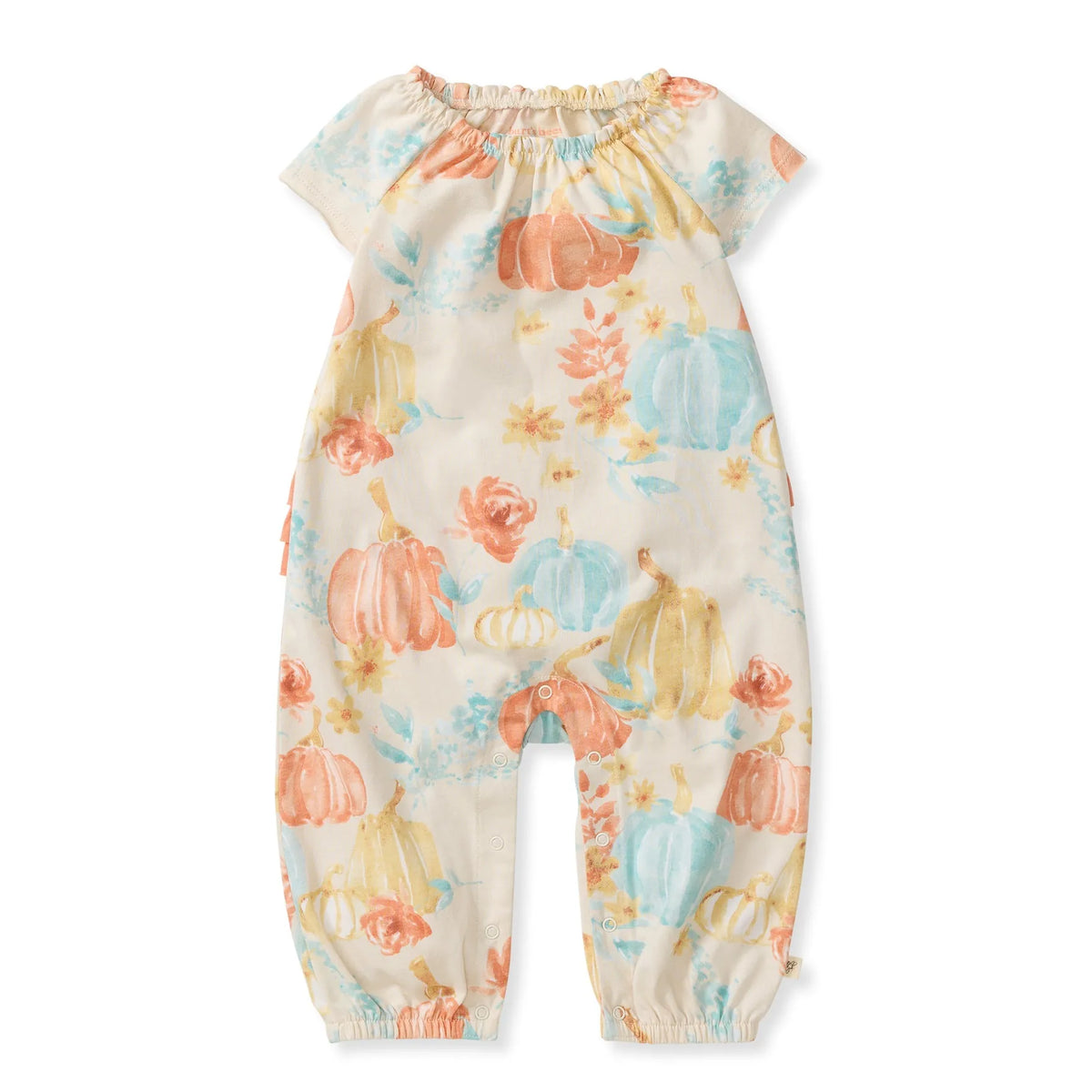Autumn Beauty Jumpsuit Burt's Bees Baby Lil Tulips