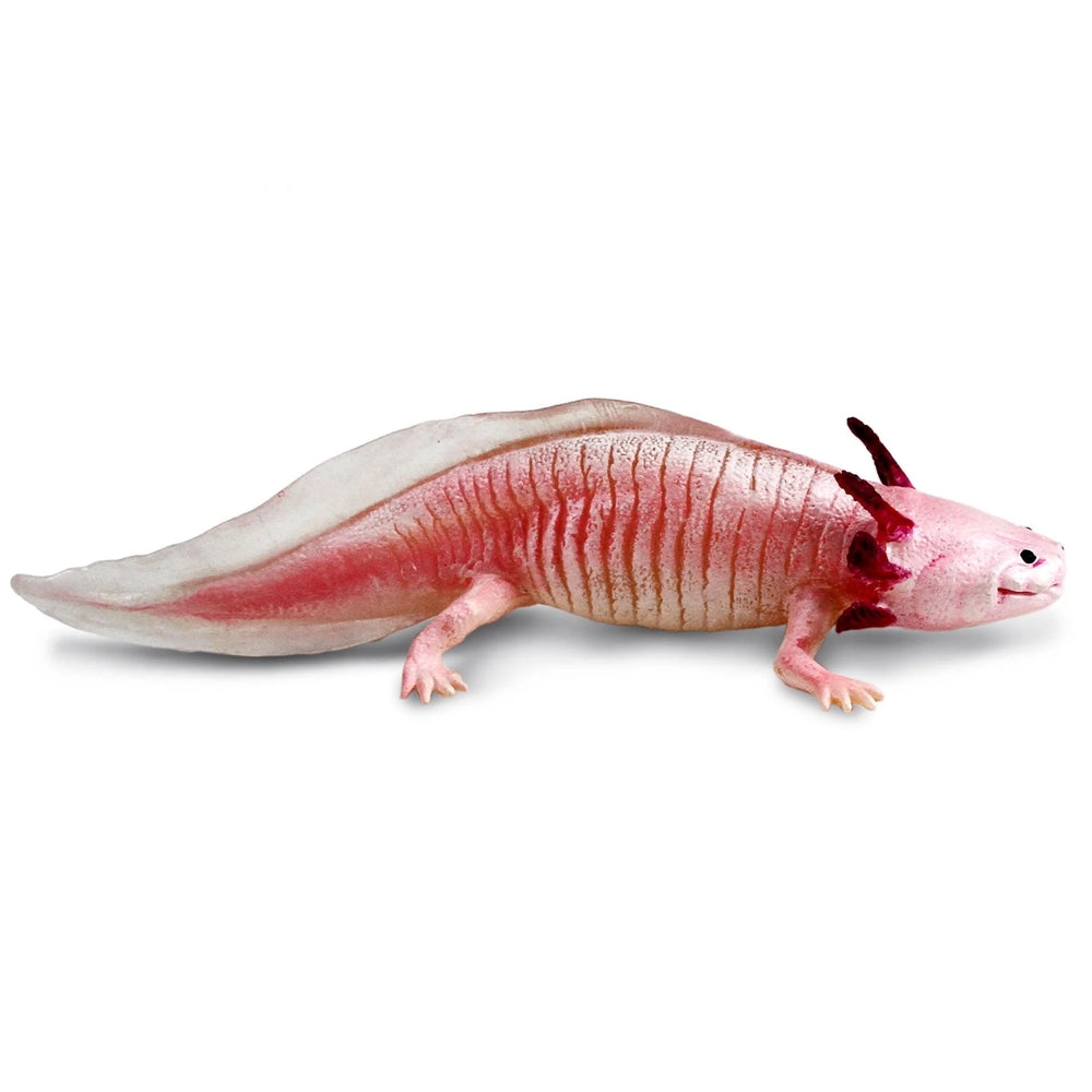 Axolotl Toy