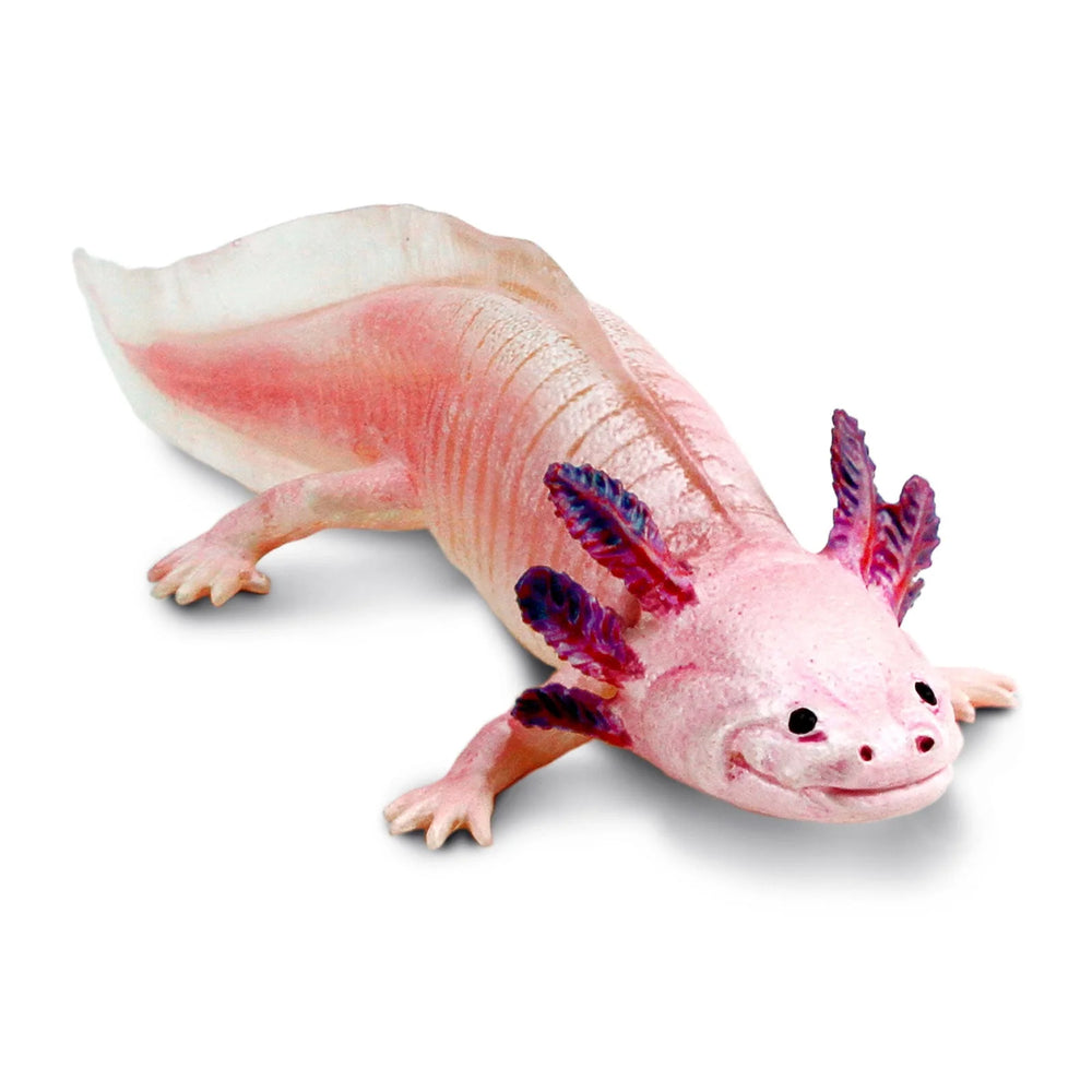 Axolotl Toy