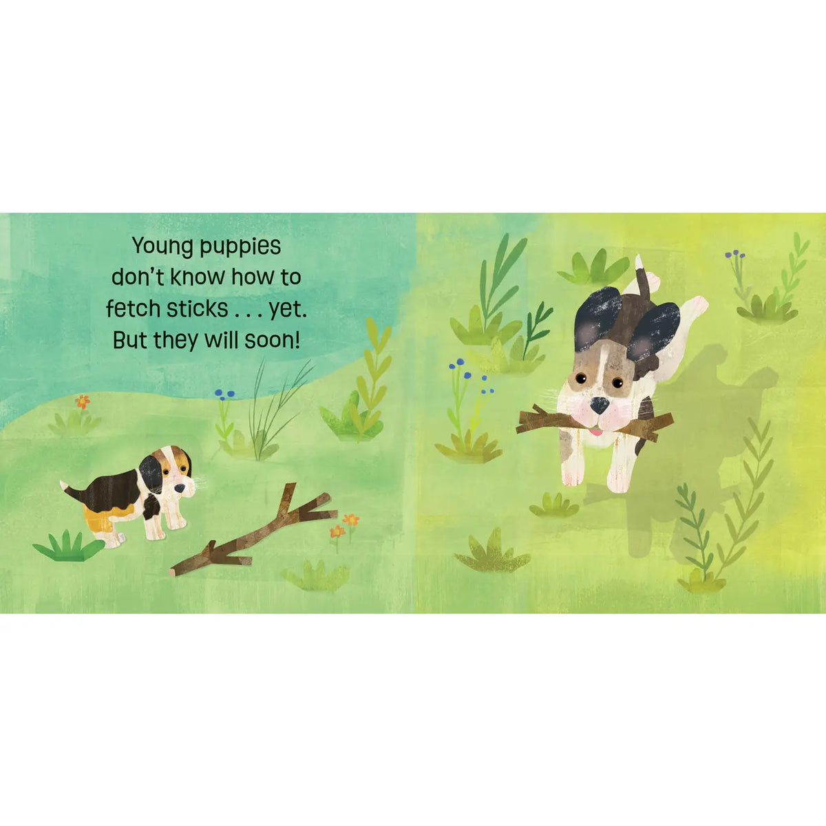 Baby Animals: Puppies Know & Grow Board Book Barefoot Books Lil Tulips