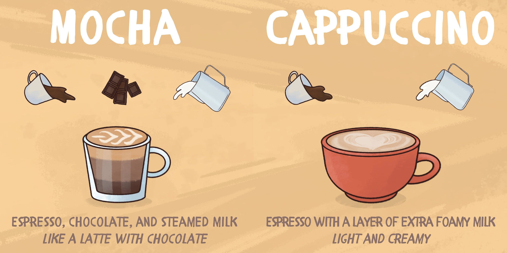 Baby Barista Board Book Baby Barista Lil Tulips