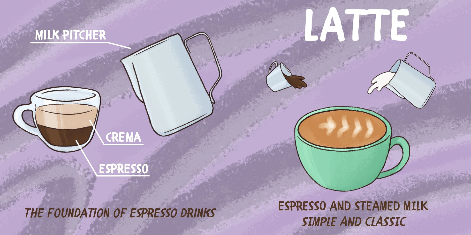 Baby Barista Board Book Baby Barista Lil Tulips