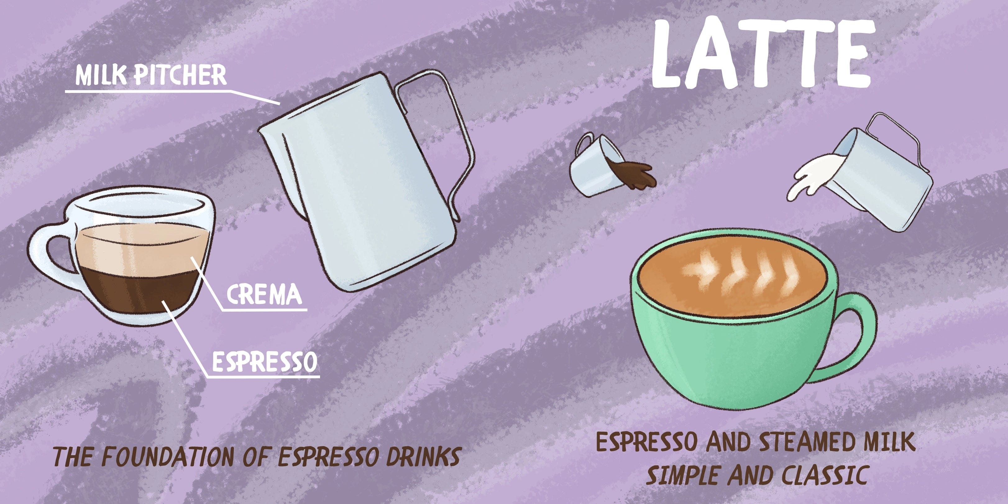 Baby Barista Board Book Baby Barista Lil Tulips