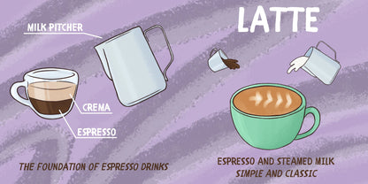 Baby Barista Board Book Baby Barista Lil Tulips