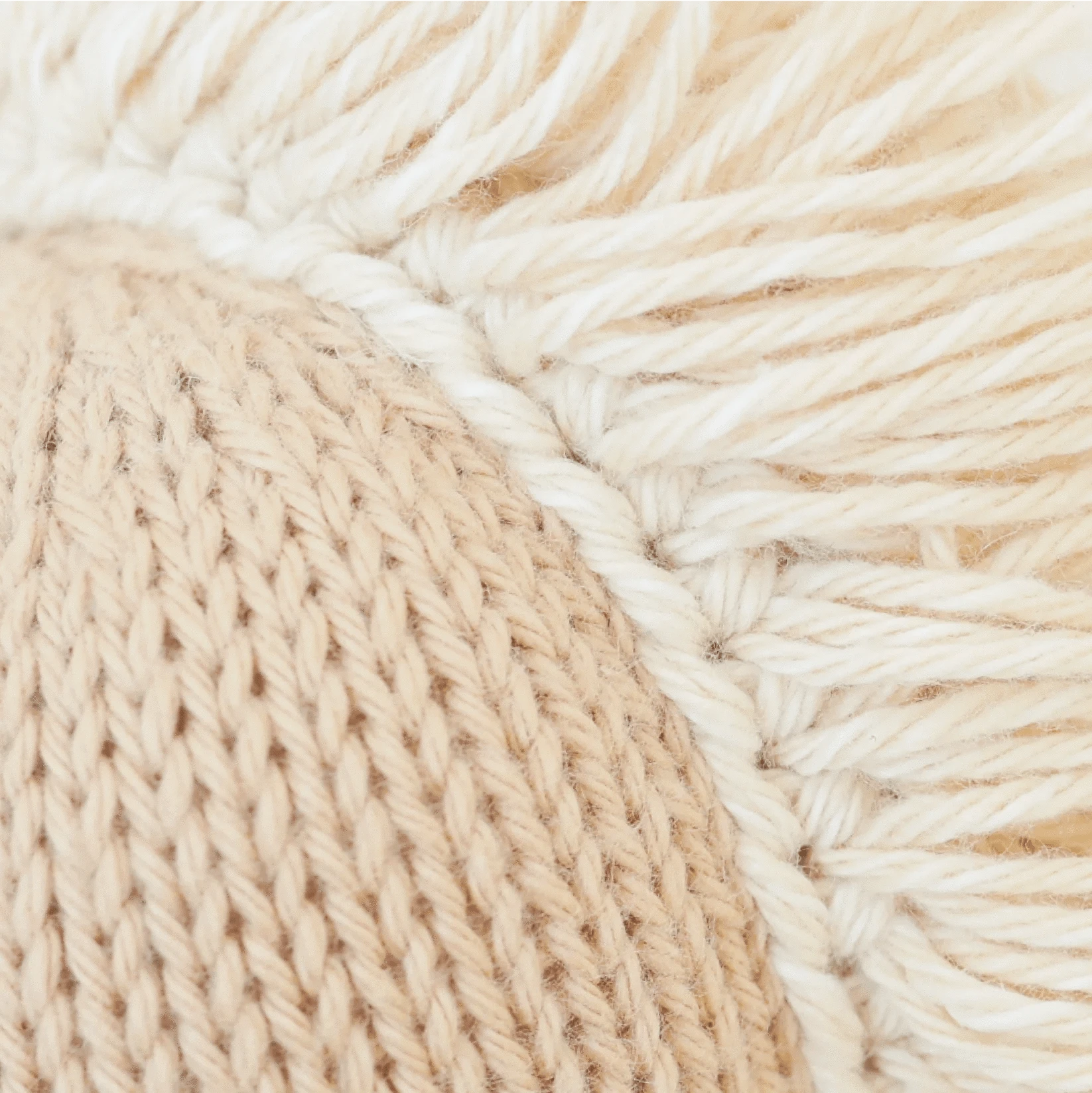 Baby Pony Hand Knit cuddle+kind Lil Tulips