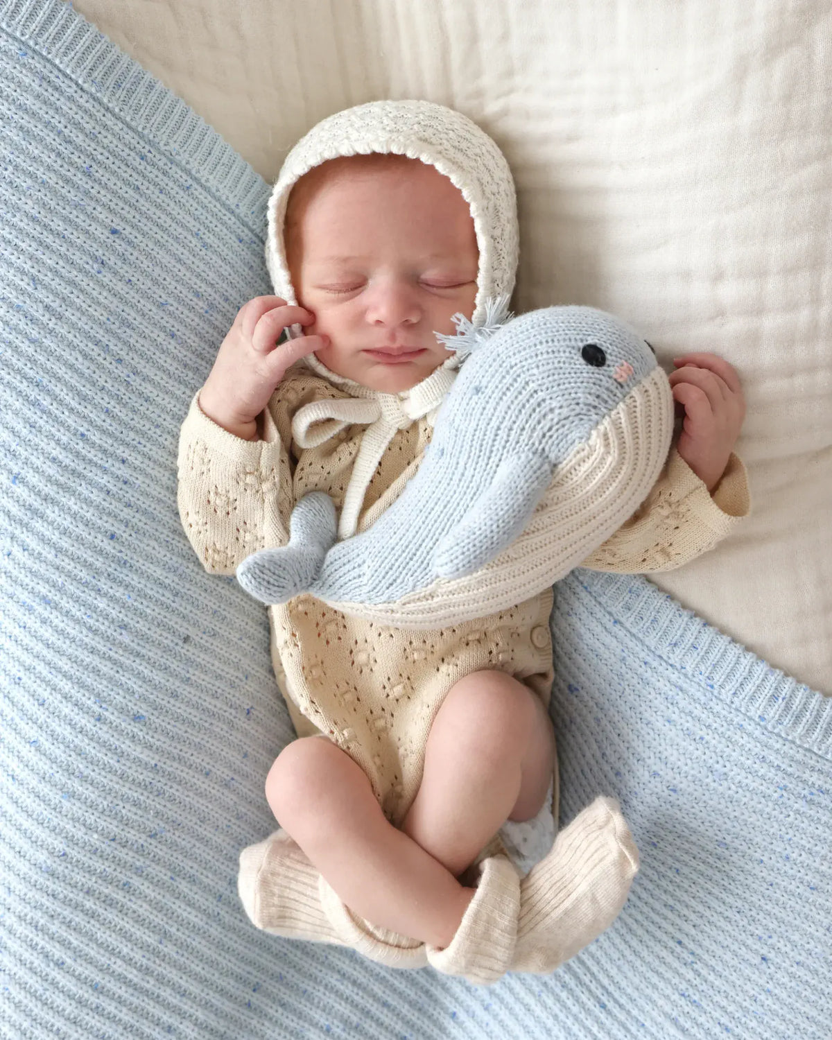 Baby Whale cuddle+kind Lil Tulips