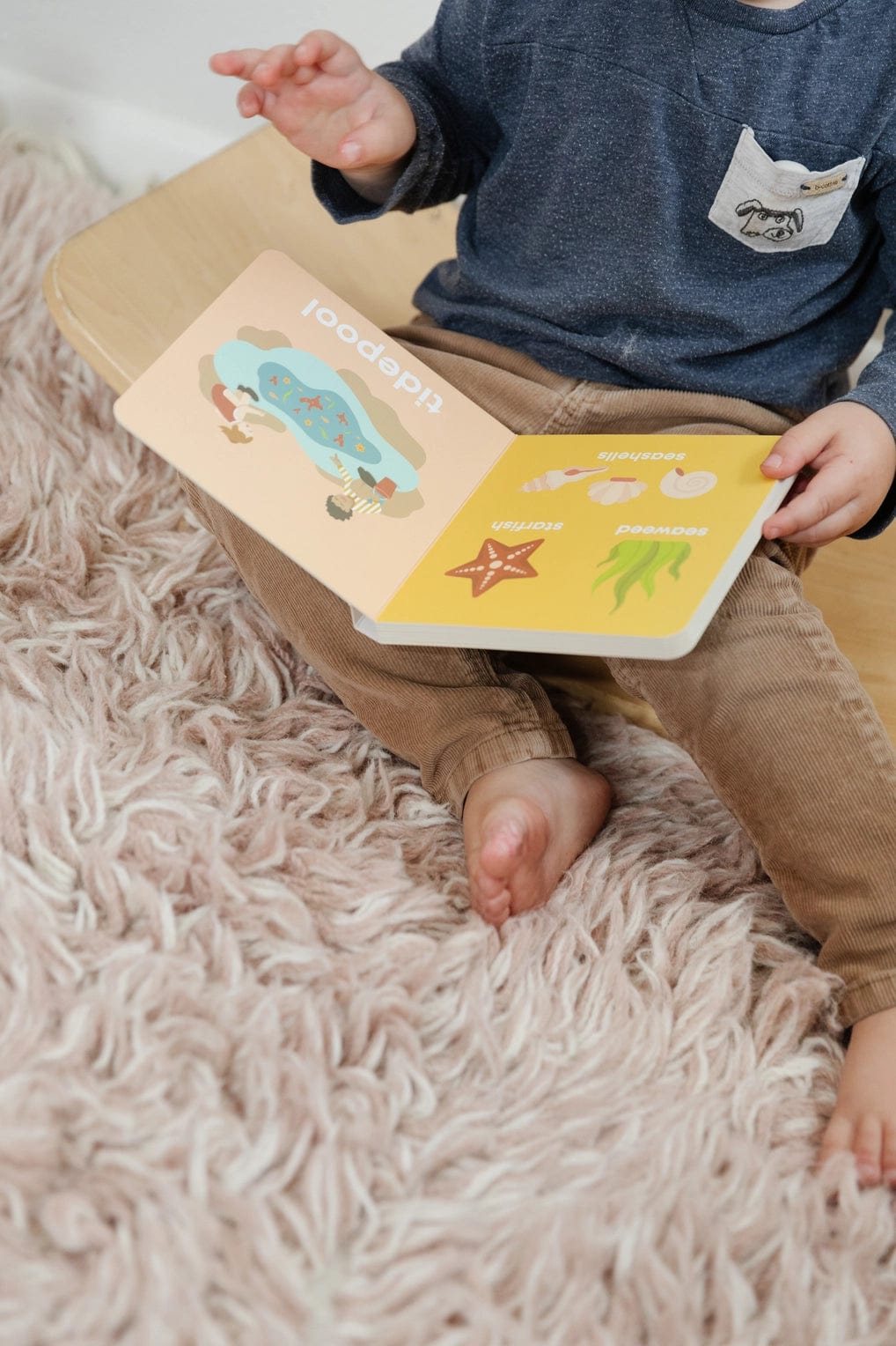 Beach Baby Board Book Left Hand Book House Lil Tulips