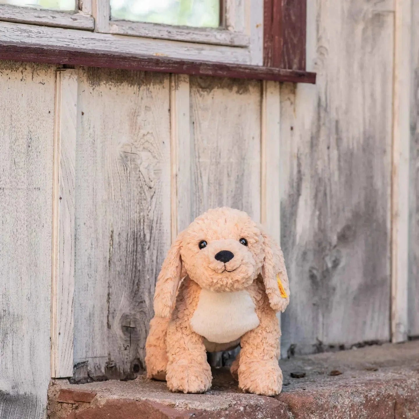 Berno Goldendoodle Dog Plush Stuffed Toy 14 inch Steiff Lil Tulips
