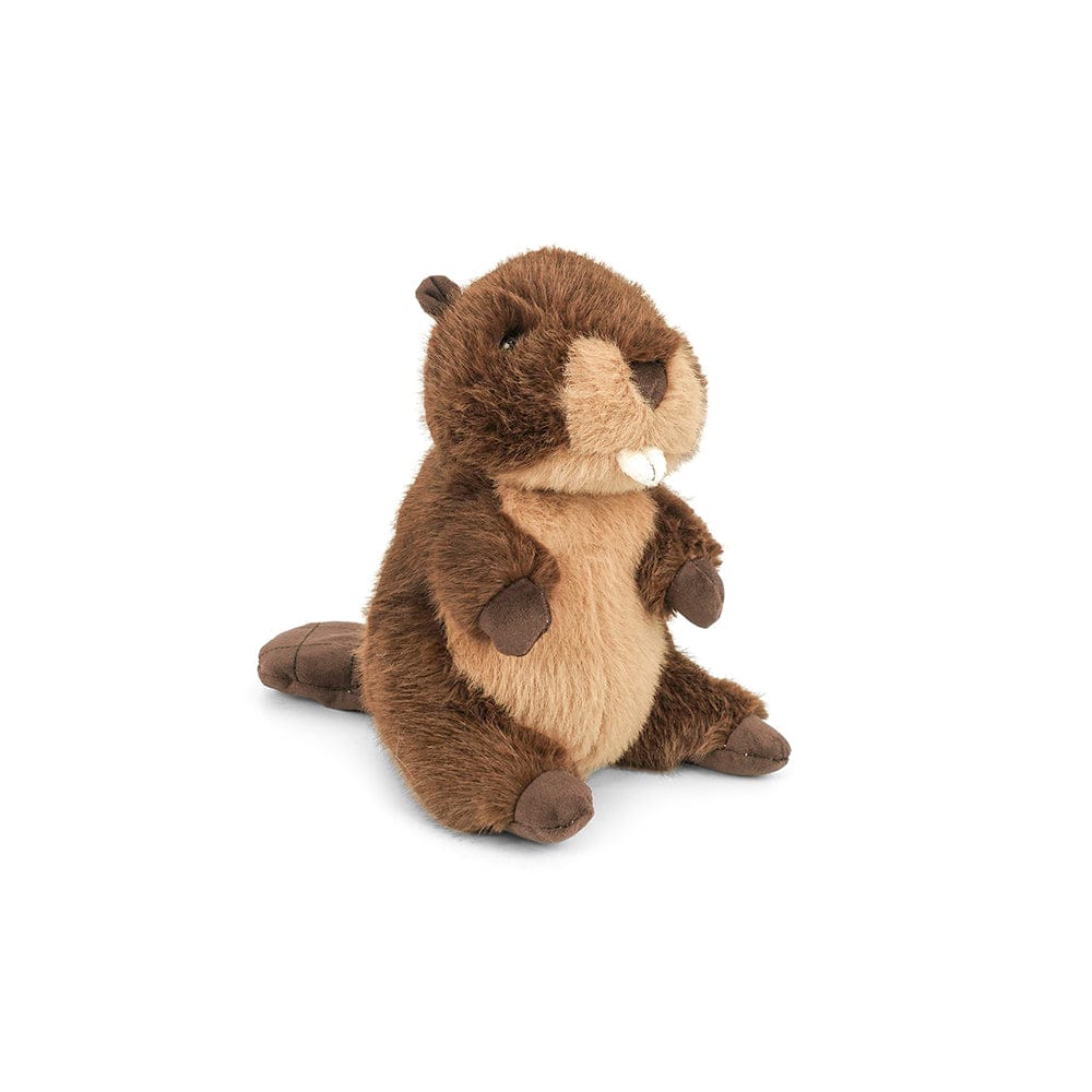 Birch Beaver MON AMI Lil Tulips