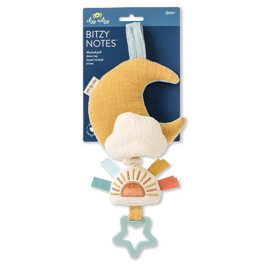 Bitzy Notes™ Musical Pull-Down Toy Cloud/Sun Itzy Ritzy Musical Pull Lil Tulips