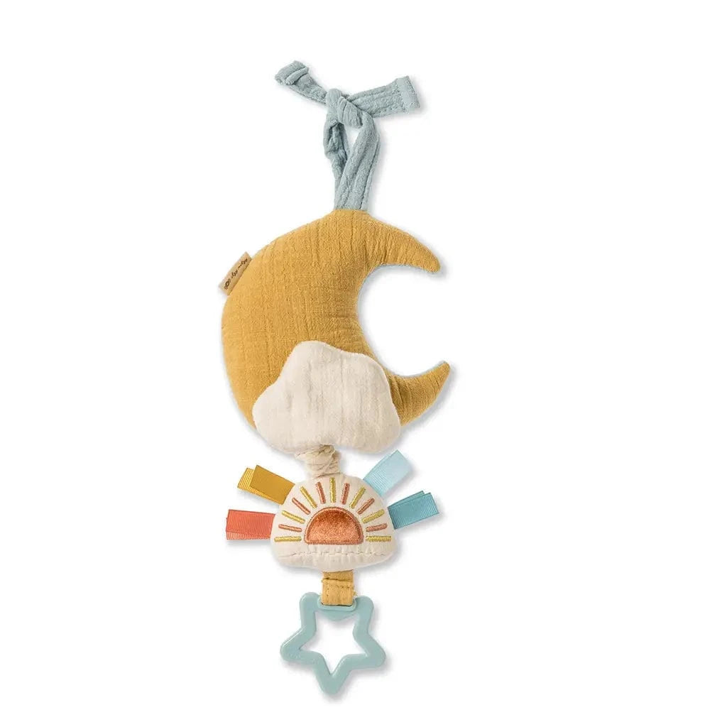 Bitzy Notes™ Musical Pull-Down Toy Cloud/Sun Itzy Ritzy Musical Pull Lil Tulips