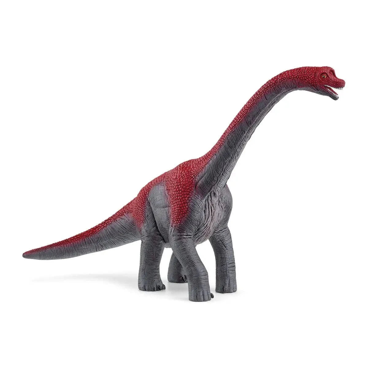 Brachiosaurus New Special Painting Dinosaur Toy Schleich Lil Tulips