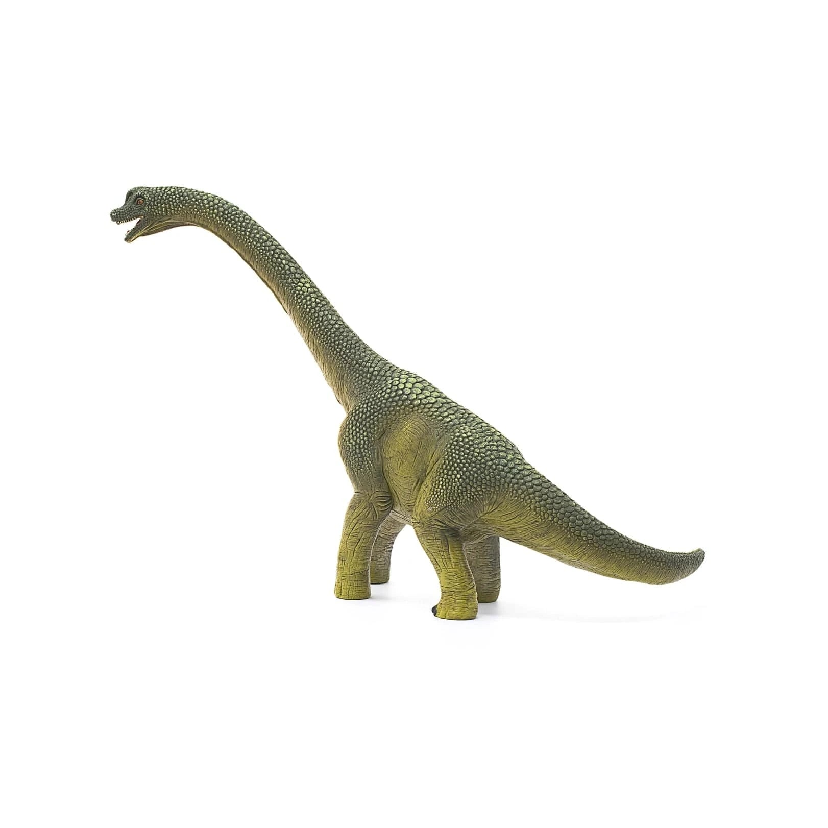 Brachiosaurus Realistic Dinosaur Toy Schleich Lil Tulips
