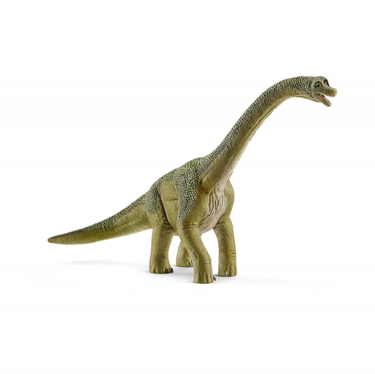 Brachiosaurus Realistic Dinosaur Toy Schleich Lil Tulips