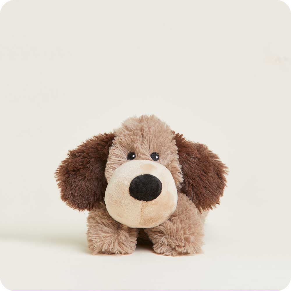 Brown Dog Warmies Junior Warmies Lil Tulips