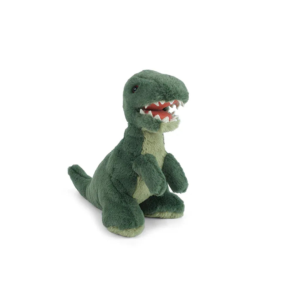 Bruno T-Rex MON AMI Lil Tulips