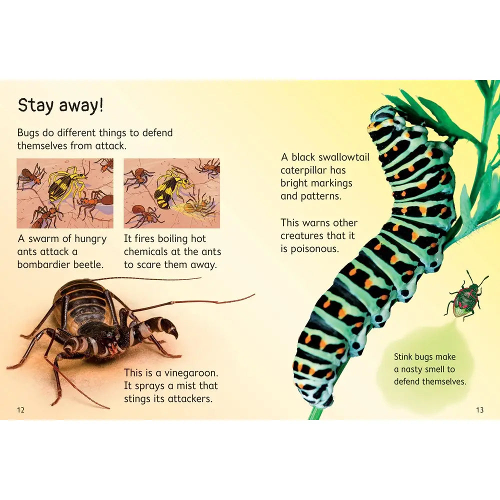 Bugs : Usborne Beginners Harper Collins Childrens Lil Tulips