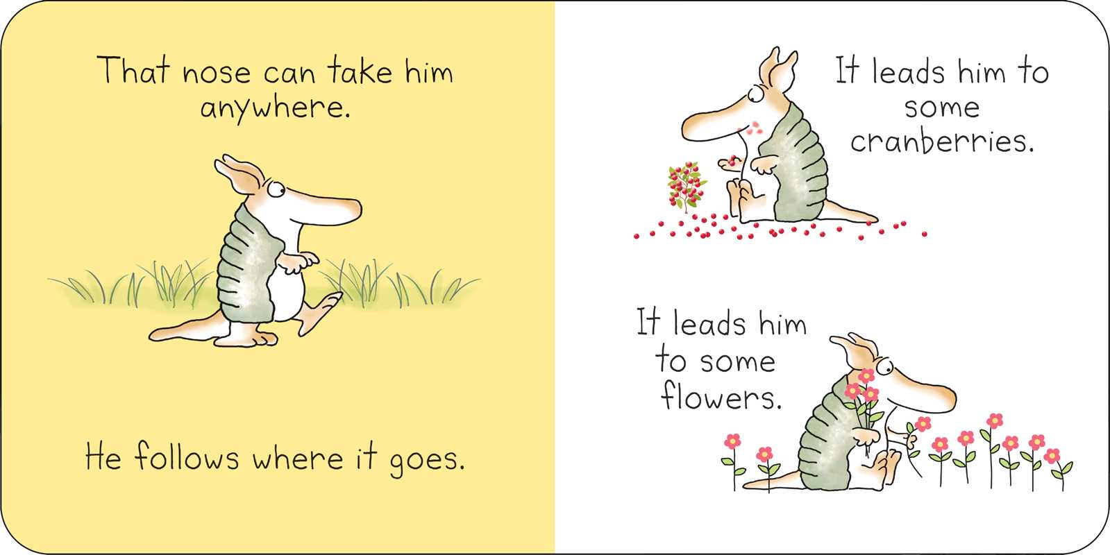 But Not the Armadillo - Board Book Sandra Boynton Books Lil Tulips