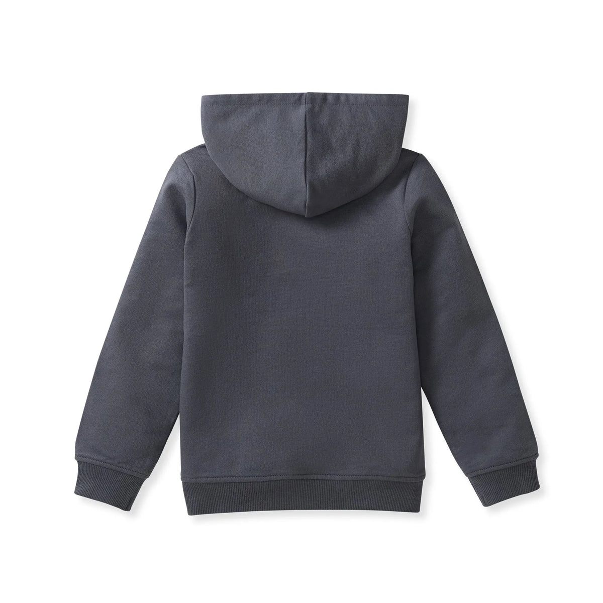 Button Placket Hoodie Burt's Bees Baby Lil Tulips