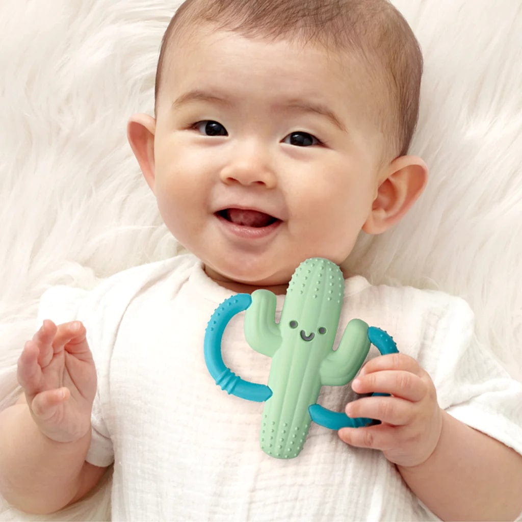 Cactus Chew Crew™ Silicone Handle Teether Itzy Ritzy Lil Tulips