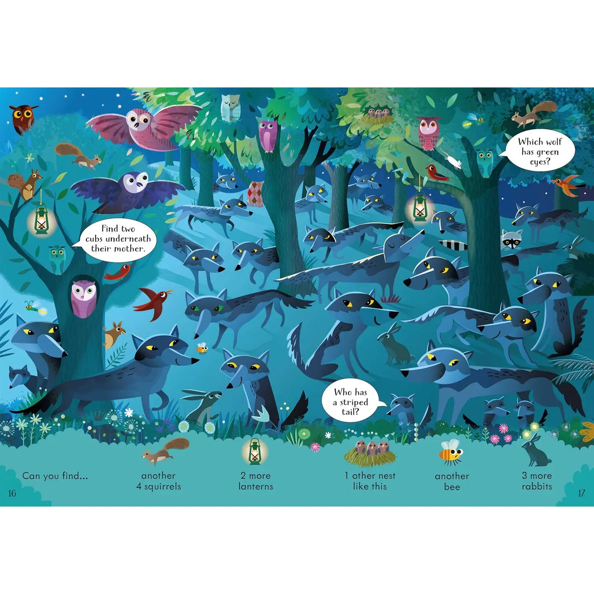 Can You Spot? Nighttime Harper Collins Childrens Lil Tulips