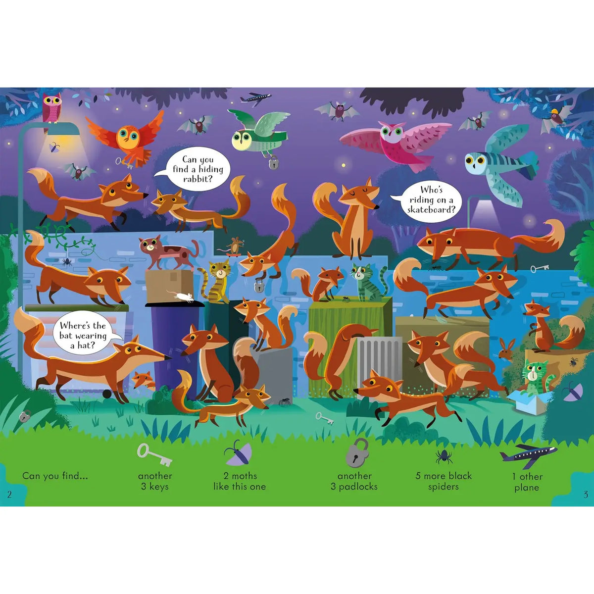 Can You Spot? Nighttime Harper Collins Childrens Lil Tulips