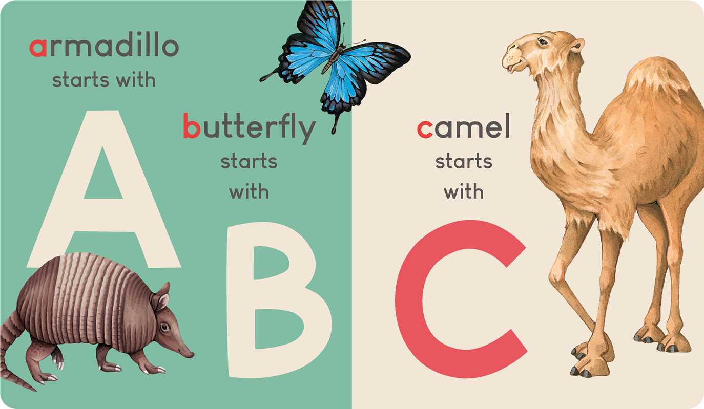 Carry Me: Animal Alphabet Simon & Schuster Books Lil Tulips