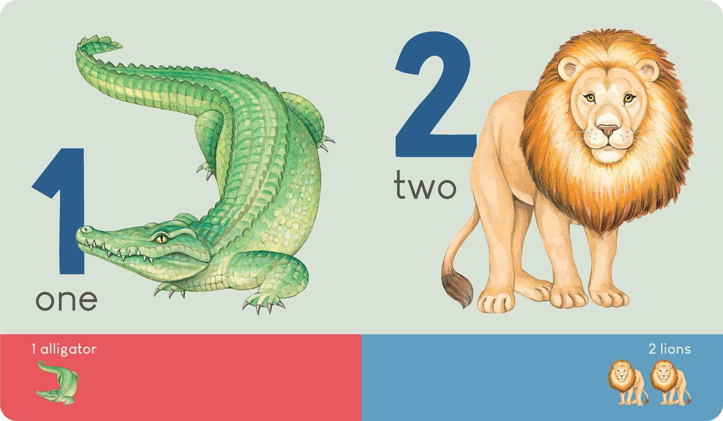 Carry Me: Animal Numbers Simon & Schuster Books Lil Tulips